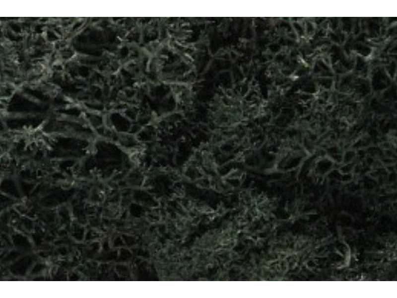 ZAROŚLA - Drak Green Lichen - zdjęcie 1 ZAROŚLA - Drak Green Lichen - zdjęcie 1