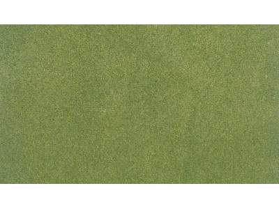 Mata &quot;Spring Grass&quot; (83.8 cm x 127 cm) - zdjęcie 1