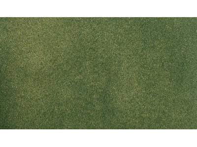 Mata &quot;Green Grass&quot; (83.8 cm x 127 cm) - zdjęcie 1