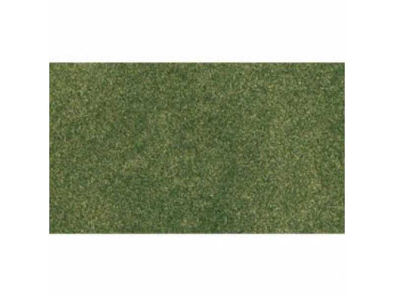 MATA TRAWIASTA - Green Grass - zdjęcie 1 MATA TRAWIASTA - Green Grass - zdjęcie 1