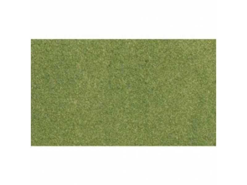 MATA TRAWIASTA: SPRING GRASS RO - zdjęcie 1 MATA TRAWIASTA: SPRING GRASS RO - zdjęcie 1