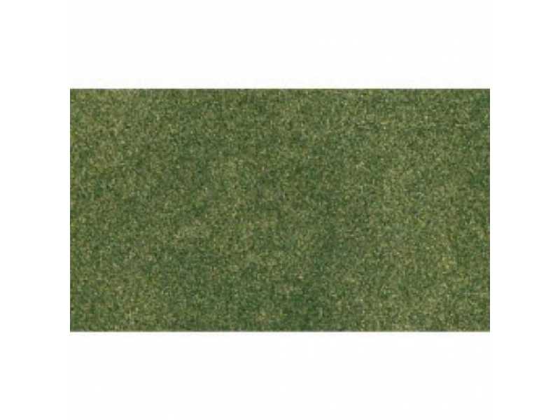 MATA TRAWIASTA: GREEN GRASS RG - zdjęcie 1 MATA TRAWIASTA: GREEN GRASS RG - zdjęcie 1