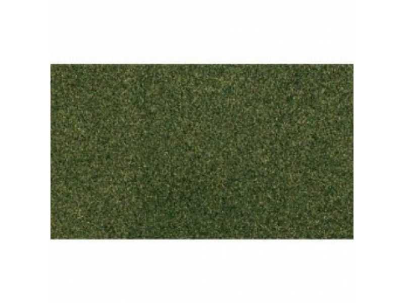 25 X 33 Forest Grass RG Roll - zdjęcie 1 25 X 33 Forest Grass RG Roll - zdjęcie 1
