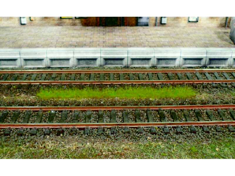 Paski trawy zielonej letniej - 100mm - 10 szt. - samoprzylepne - zdjęcie 1 Paski trawy zielonej letniej - 100mm - 10 szt. - samoprzylepne - zdjęcie 1