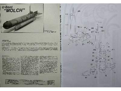 Molch - zdjęcie 5