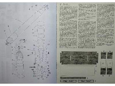 Molch - zdjęcie 10