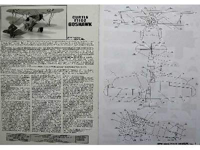 CURTISS F11 C-2 GOSHAWK - zdjęcie 11