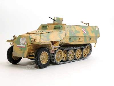 SZARY WILK  / STARÓWKA  (Sd.Kfz 251 D ) - komplet , model wręgi  - zdjęcie 14