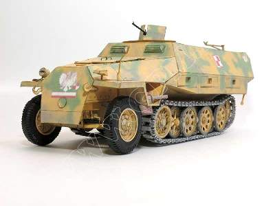 SZARY WILK  / STARÓWKA  (Sd.Kfz 251 D ) - komplet , model wręgi  - zdjęcie 15