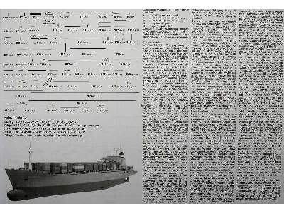 KONTENEROWIEC  HOLLANDIA - zdjęcie 43