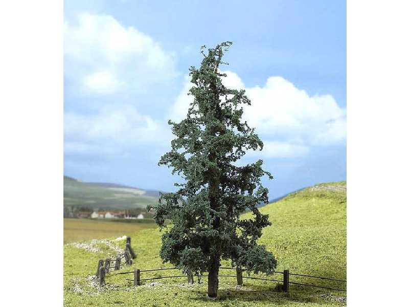 Drzewka - jodły - 2 sztuki - zdjęcie 1