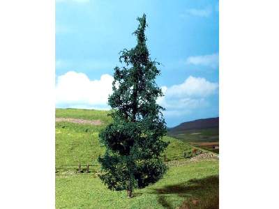 Drzewko - jodła - 1 sztuka - zdjęcie 1