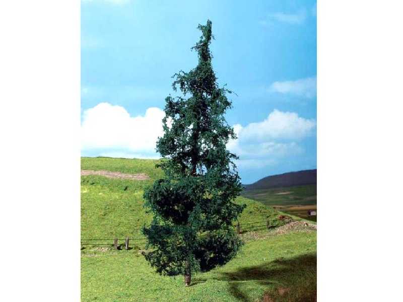 Drzewko - jodła - 1 sztuka - zdjęcie 1
