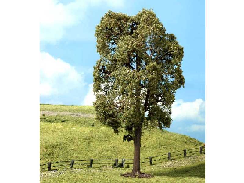 Drzewko - kwitnąca lipa - 1 sztuka - zdjęcie 1