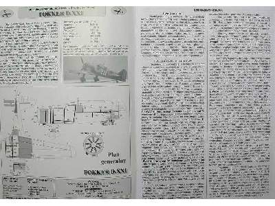 FOKKER D-XXI holenderski samolot myśliwski z II wojny światowej - zdjęcie 2