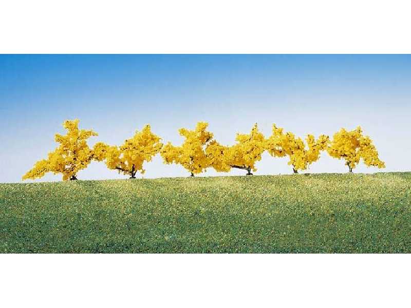 Forsycje, żółte kwiaty - 6 sztuk - zdjęcie 1