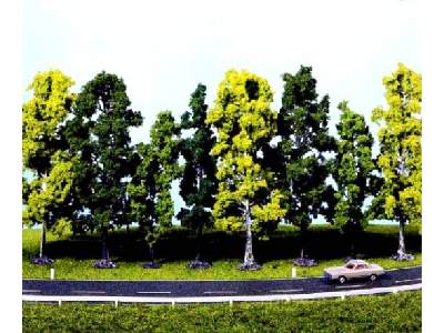 Drzewa liściaste - wys. 7-12 cm - 12 sztuk - zdjęcie 1