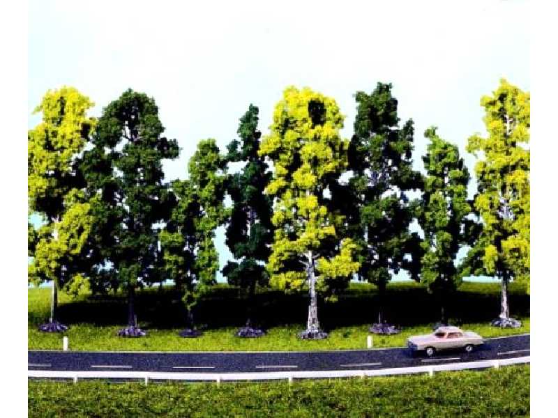 Drzewa liściaste - wys. 7-12 cm - 12 sztuk - zdjęcie 1