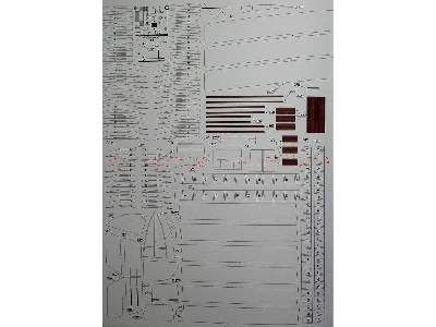 Włoska łódź latająca Macchi M.5 - zdjęcie 4