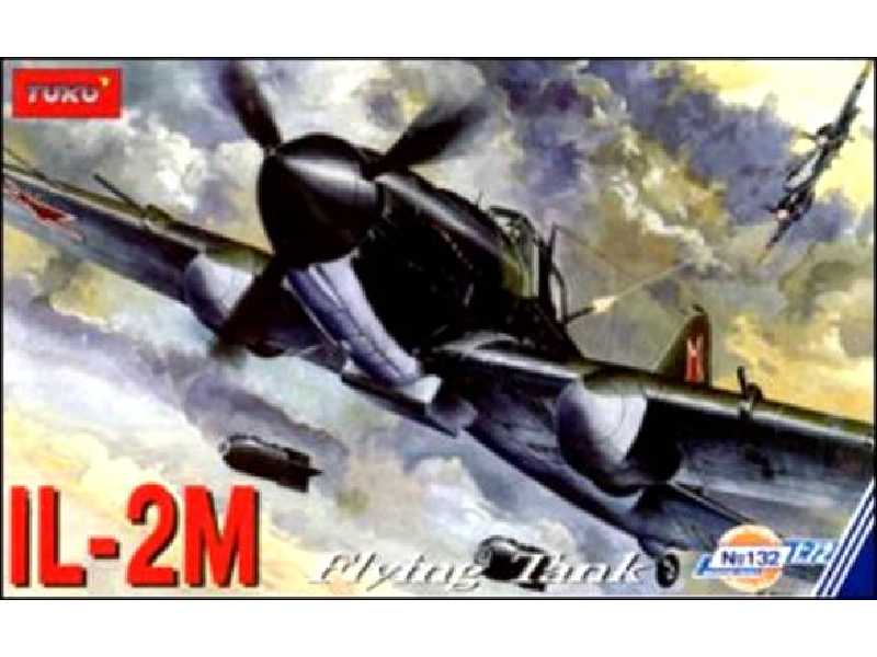 Ilyushin IL-2m Flying Tank - zdjęcie 1 Ilyushin IL-2m Flying Tank - zdjęcie 1