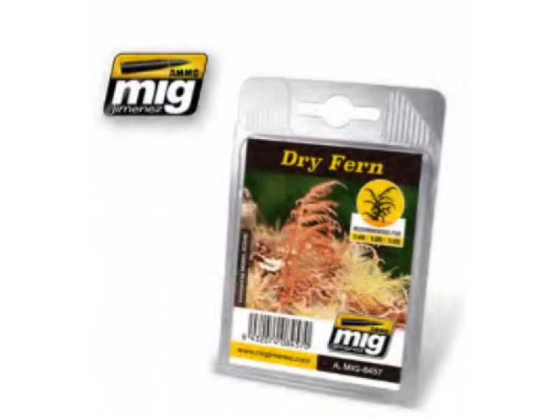 Dry Fern - zdjęcie 1 Dry Fern - zdjęcie 1