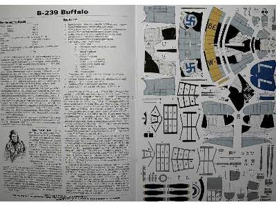B-239 Buffalo - zdjęcie 6