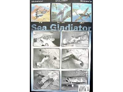 Gloster Sea Gladiator - zdjęcie 7