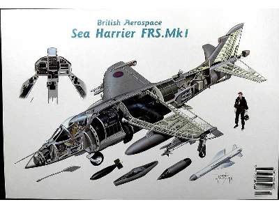 British Aerospace Sea Harrier FRS Mk 1 - zdjęcie 8