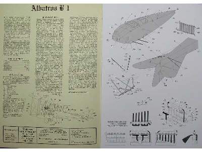 Niemiecki samolot rozpoznawczy Albatros B.I - zdjęcie 2