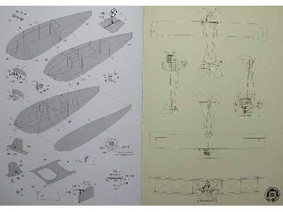 Niemiecki samolot rozpoznawczy Albatros B.I - zdjęcie 8