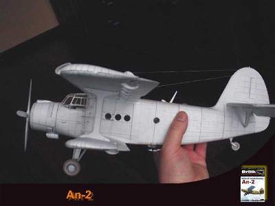 Samolot wielozadaniowy An-2 - zdjęcie 3