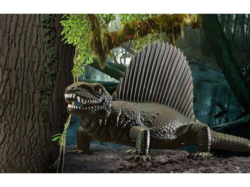 Dimetrodon - zestaw podarunkowy - zdjęcie 1 Dimetrodon - zestaw podarunkowy - zdjęcie 1