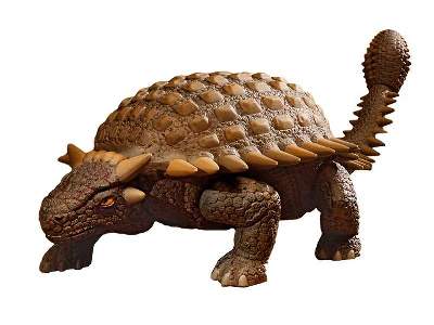 Ankylosaurus - zestaw podarunkowy - zdjęcie 2