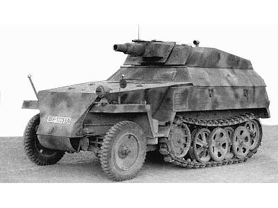 SdKfz.250/8 Stummel - zdjęcie 11