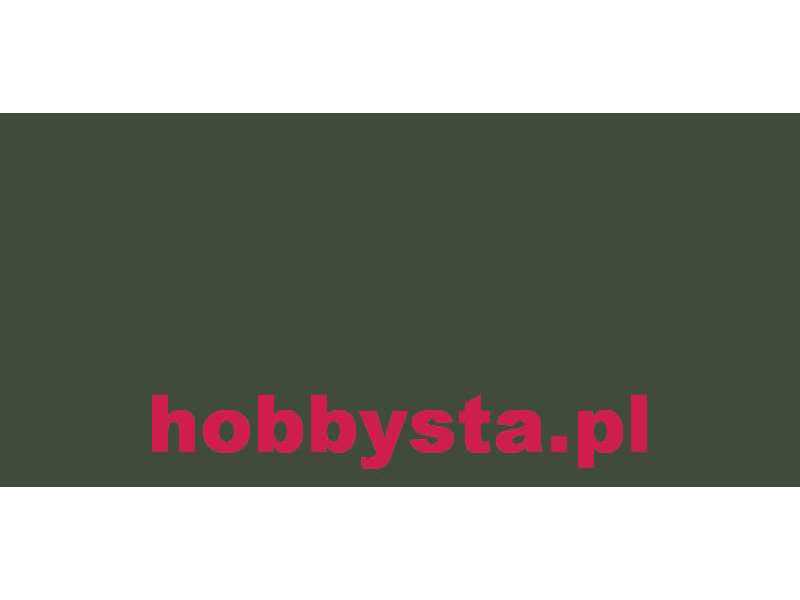 Farba Flat Green 383 - FS34094 - matowa - zdjęcie 1 Farba Flat Green 383 - FS34094 - matowa - zdjęcie 1