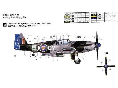 RAF Mustang III (P-51B/C) - zdjęcie 14