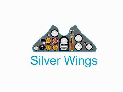 PZL P.11c - Silver Wings   - zdjęcie 2