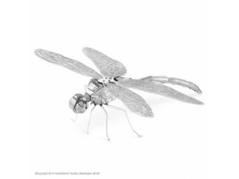 Dragonfly - zdjęcie 1 Dragonfly - zdjęcie 1