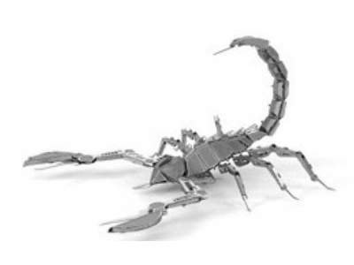 Scorpion - zdjęcie 1
