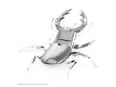 Stag Beetle - zdjęcie 1