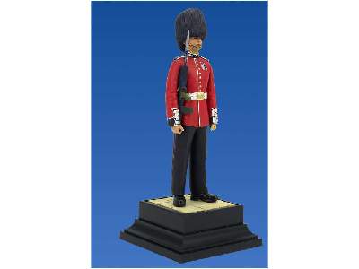 Brytyjski grenadier - wartownik pałacu Buckingham - zdjęcie 9