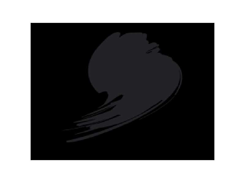Night Black - zdjęcie 1 Night Black - zdjęcie 1