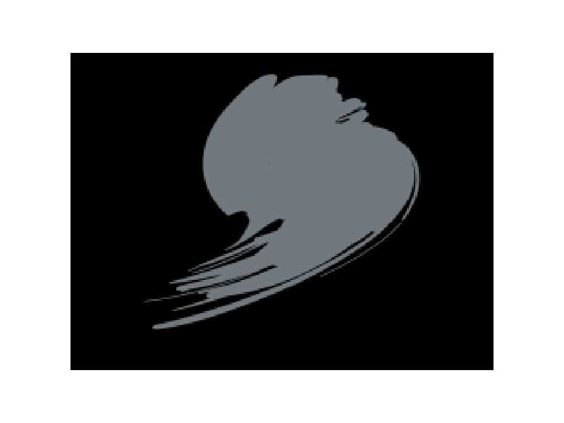Dark Gull Grey - zdjęcie 1