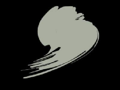 Light Gull Grey (ANA 620) - zdjęcie 1