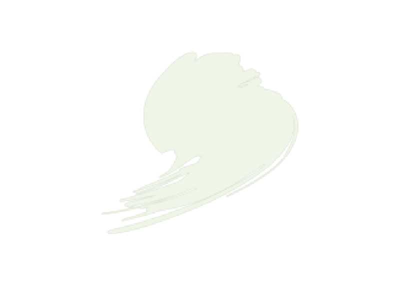 Insignia White (ANA 511) - zdjęcie 1 Insignia White (ANA 511) - zdjęcie 1