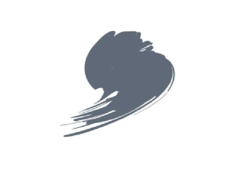 Mod Eagle Grey - zdjęcie 1 Mod Eagle Grey - zdjęcie 1
