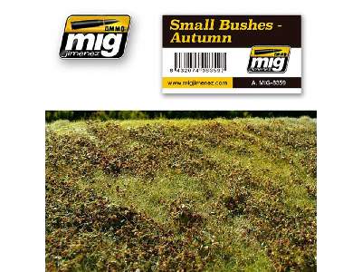 Small Bushes Spring - zdjęcie 1