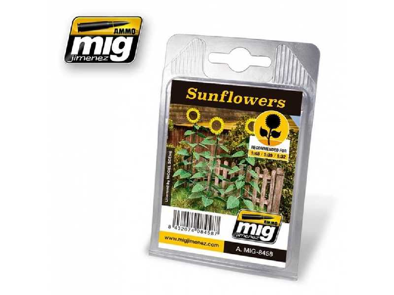 Sunflowers - zdjęcie 1 Sunflowers - zdjęcie 1