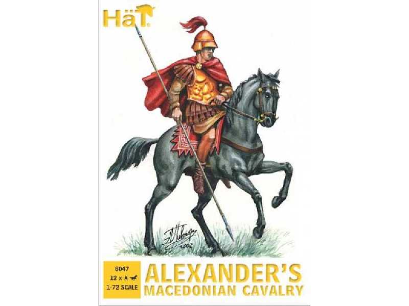 Alexanders Macedonian Cavalry - zdjęcie 1 Alexanders Macedonian Cavalry - zdjęcie 1