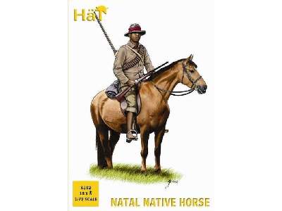 Natal Native Horse - zdjęcie 1